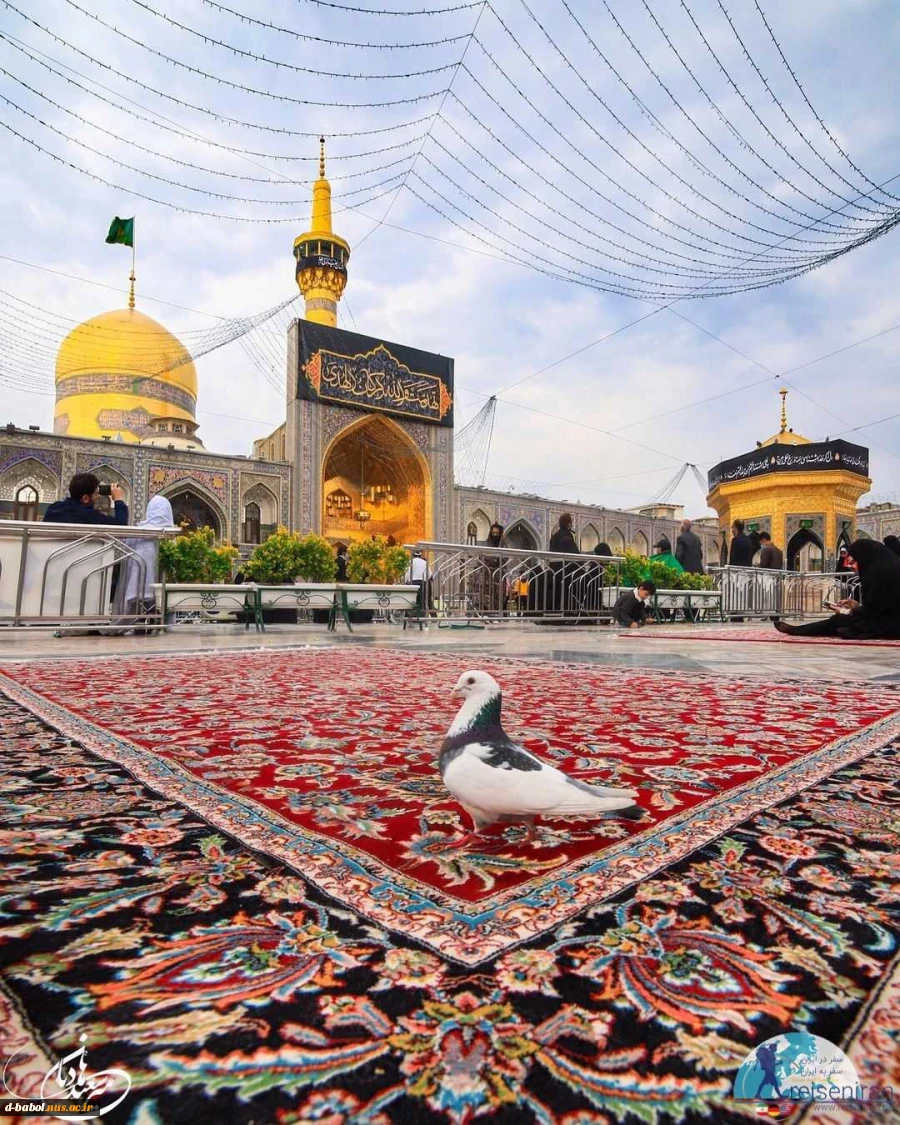 سفر رایگان به مشهد مقدس 2