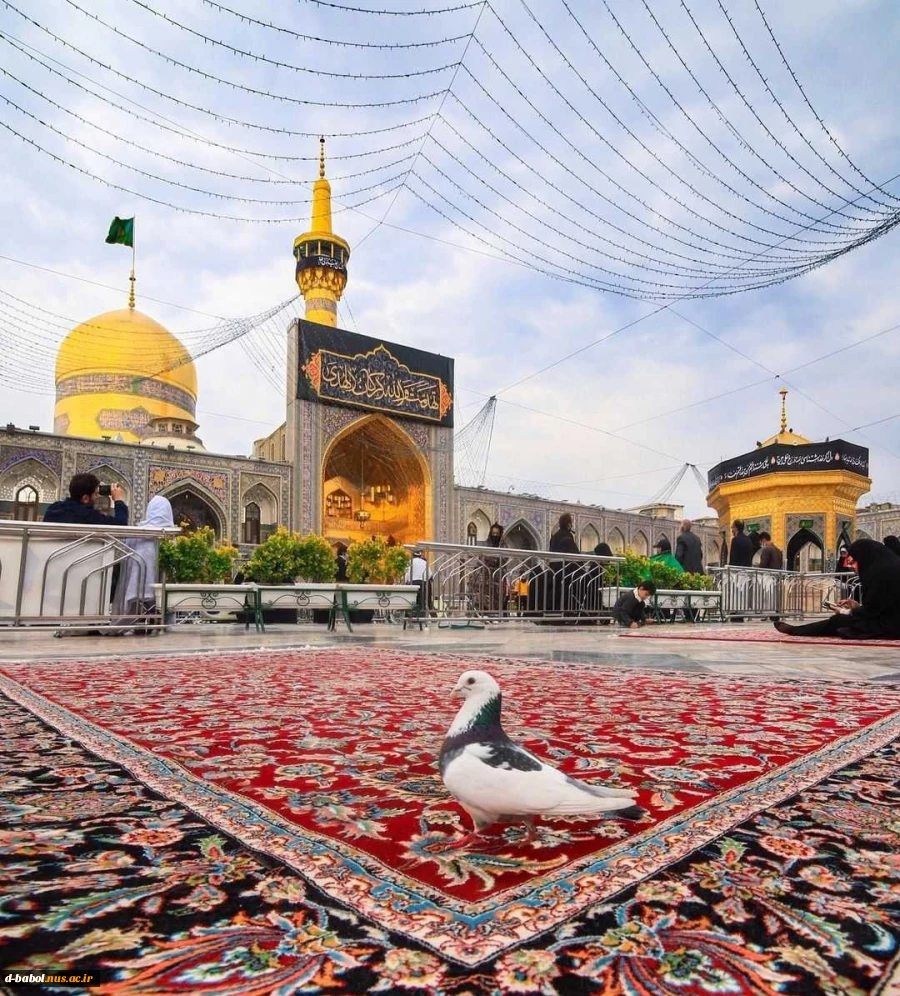 سفر رایگان به مشهد مقدس 2