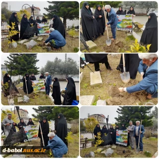 آیین نکوداشت روز درختکاری در دانشگاه ملی مهارت واحد دختران بابل