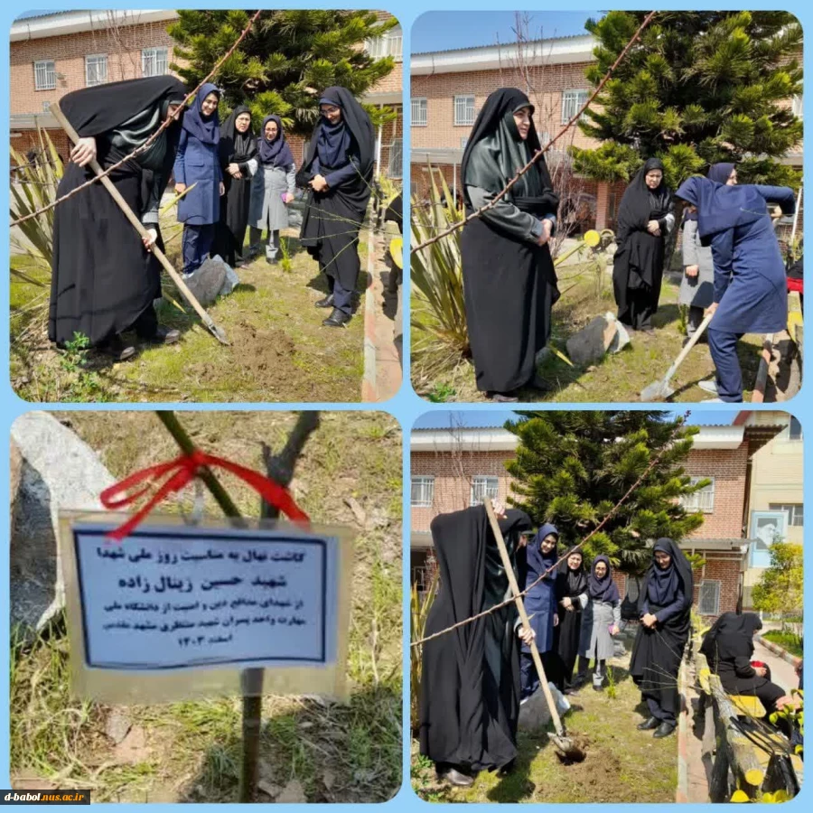 کاشت نهال و نامگذاری آن به نام شهید دانشجو به مناسبت ۲۲ اسفند "روز شهدا" در آموزشکده ملی مهارت دختران بابل  2