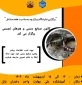 کانون صنایع دستی و هنر های تجسمی  برگزار می کند: