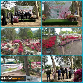 بازدید از اولین جشنواره گل آزالیا در کشور در رامسر توسط دانشجویان آموزشکده دختران بابل