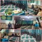 برگزاری جشن میلاد با سعادت امام رئوف حضرت علی بن موسی الرضا (ع) در آموزشکده ملی مهارت دختران بابل